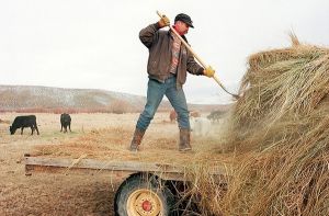 В Винницкой области активно развивают кооперацию